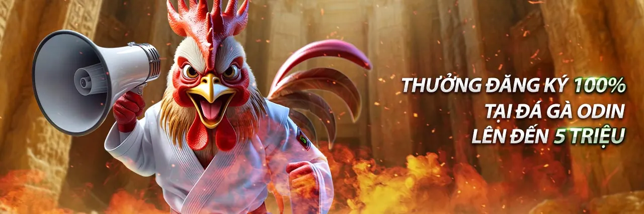 Ứng dụng win55 bet trên điện thoại và máy tính bảng